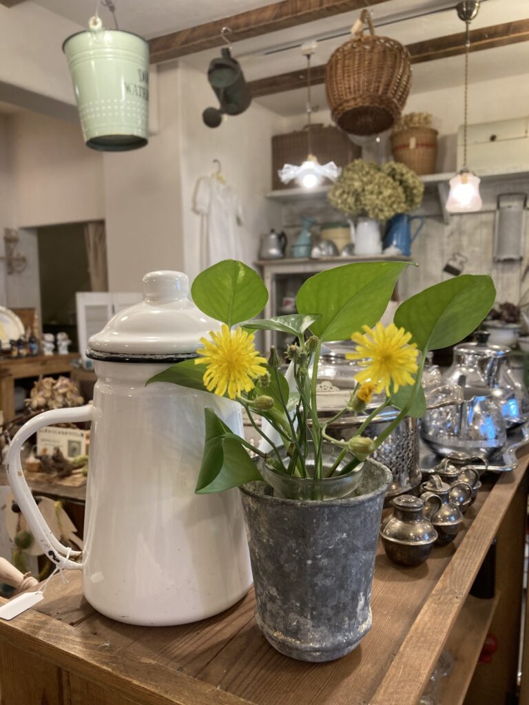 もうすぐ本格的な夏に！