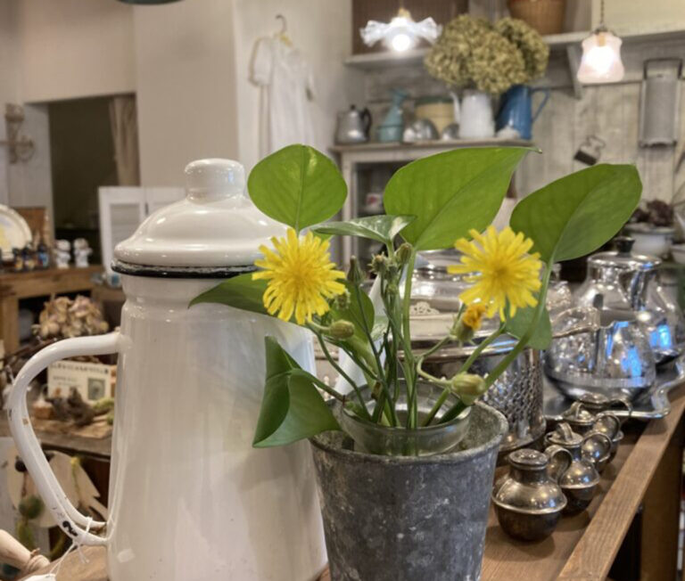 もうすぐ本格的な夏に！