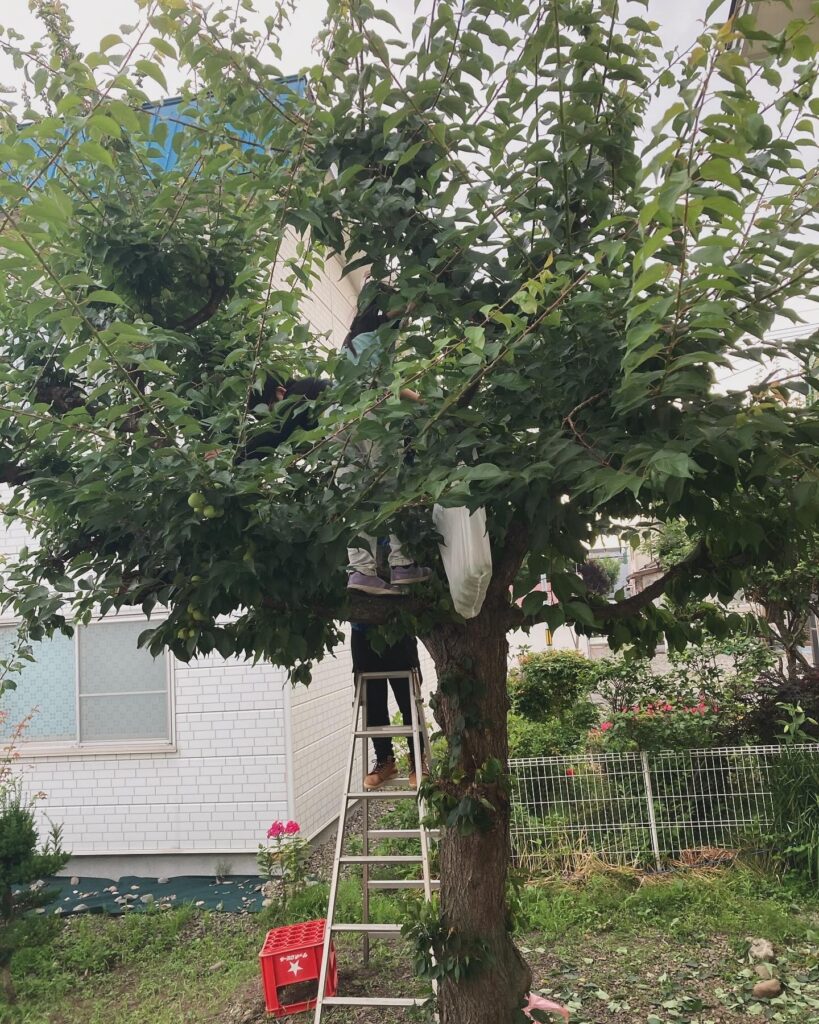 夏は花火～芽室町の花火大会～華音2024へ