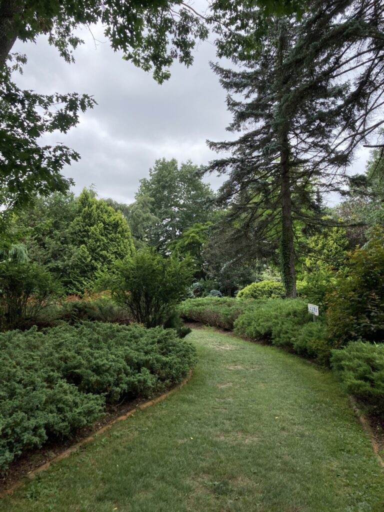 夏のガーデンと夜の動物園～十勝で過ごす夏休み