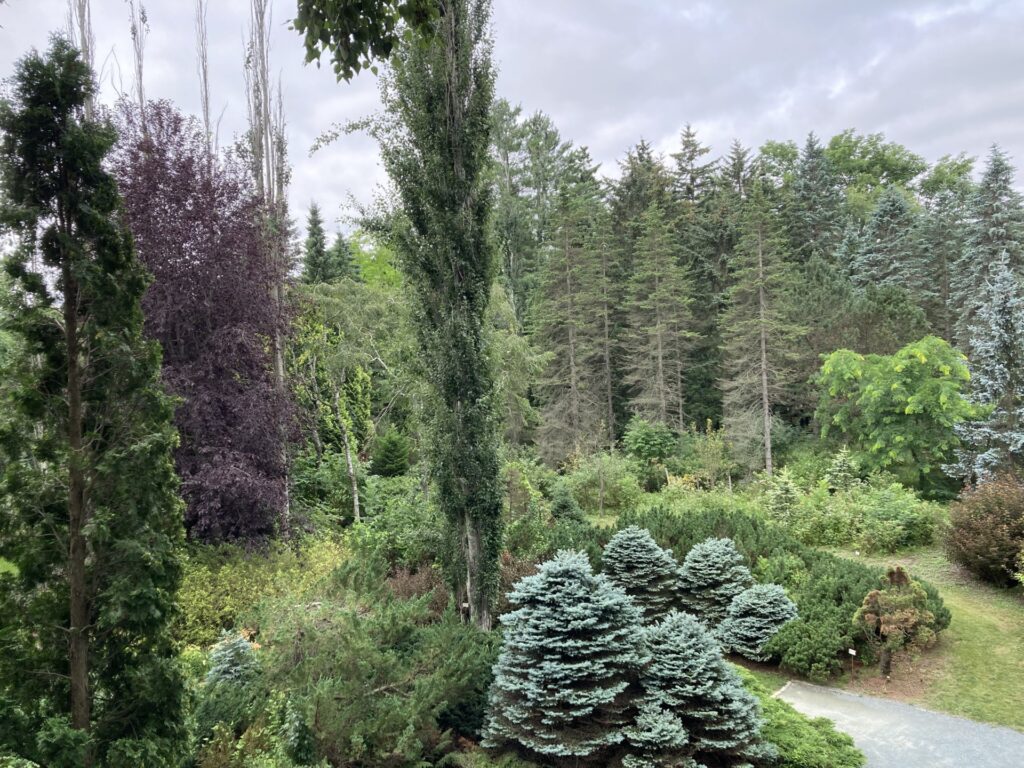 夏のガーデンと夜の動物園～十勝で過ごす夏休み