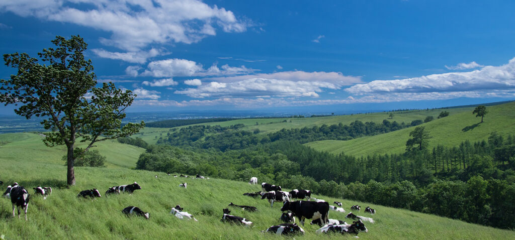 10月は実りの秋～十勝のイベントが熱い！