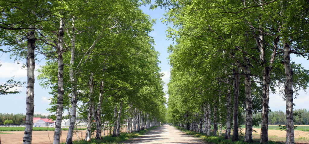 10月は実りの秋～十勝のイベントが熱い！