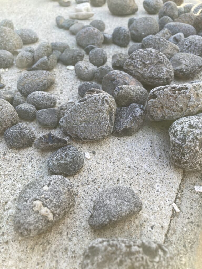 十勝で過ごす秋の休日