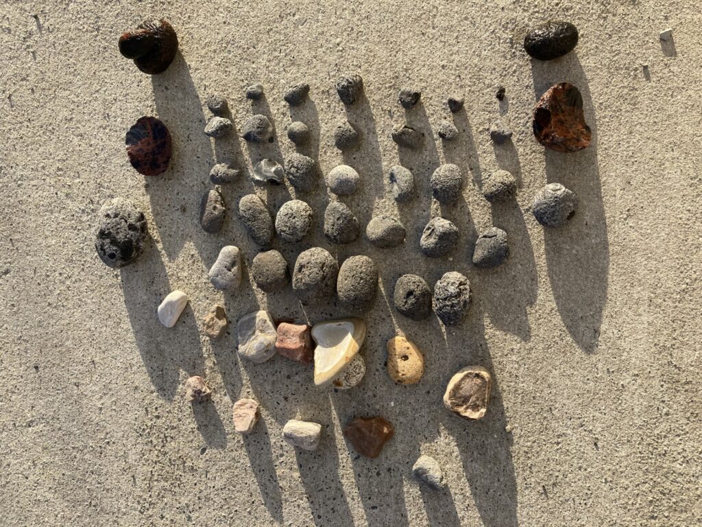 十勝で過ごす秋の休日