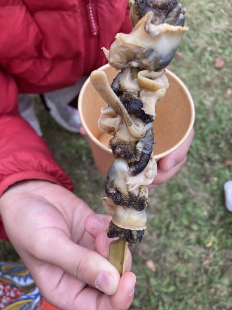 2024とかちフードバレーマラソン大会に参加しました！