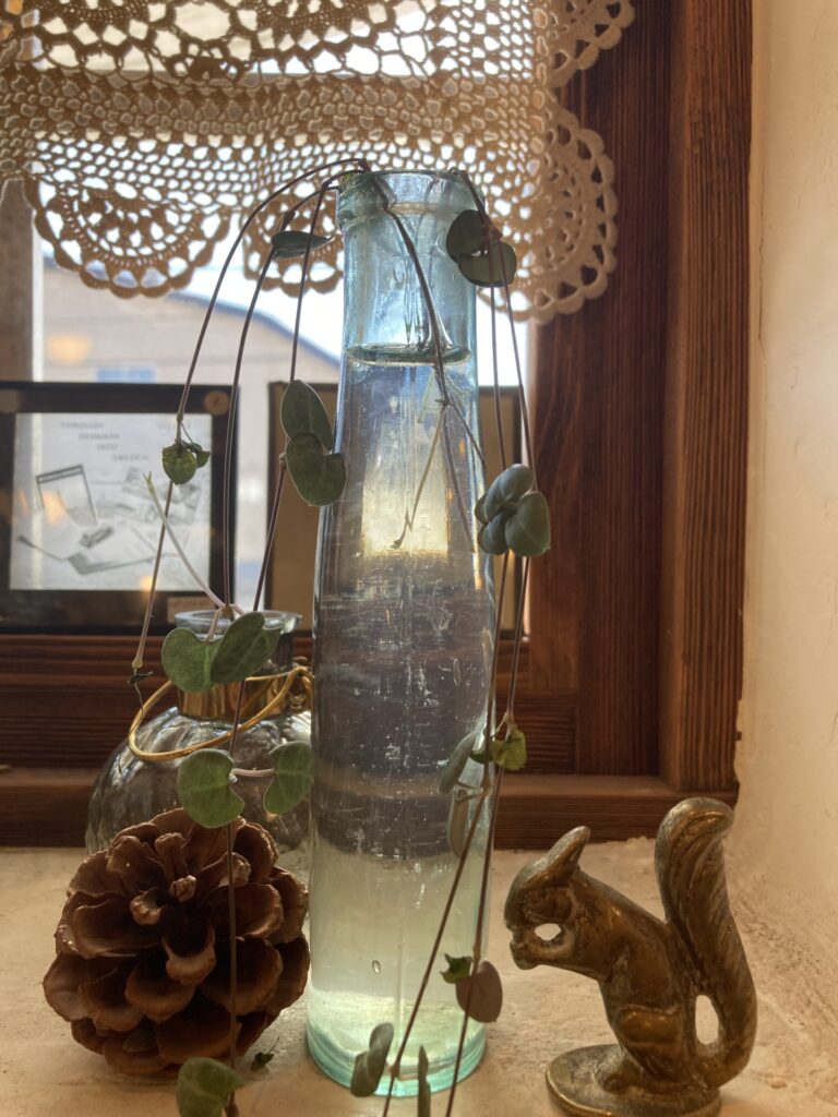 10月も後半～これからの時期に欠かせない加湿器