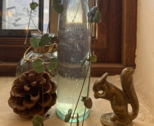 10月も後半～これからの時期に欠かせない加湿器